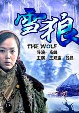 缅北禁地《雪狼2006》免费在线观看