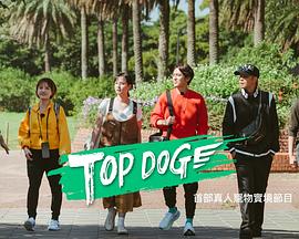绿帽社区《TOP DOG》免费在线观看