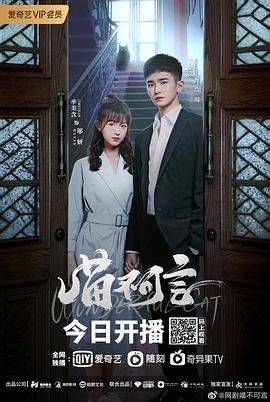 缅北禁地《喵不可言》免费在线观看