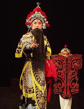 缅北禁地《袁崇焕2009》免费在线观看